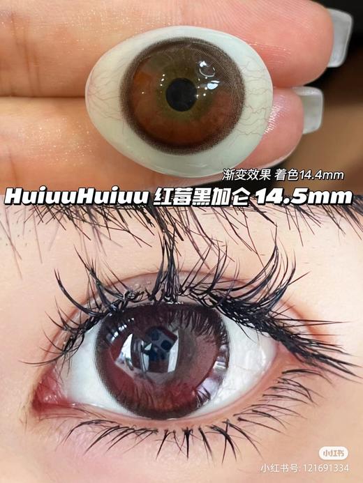 【店主实拍】红莓黑加仑-14.5mm 【年抛 度数0-1000度 无525/575】 商品图0