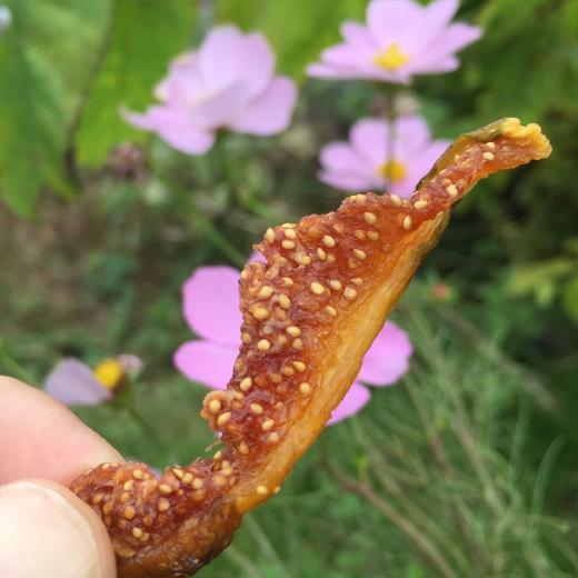 有机无花果干 商品图1