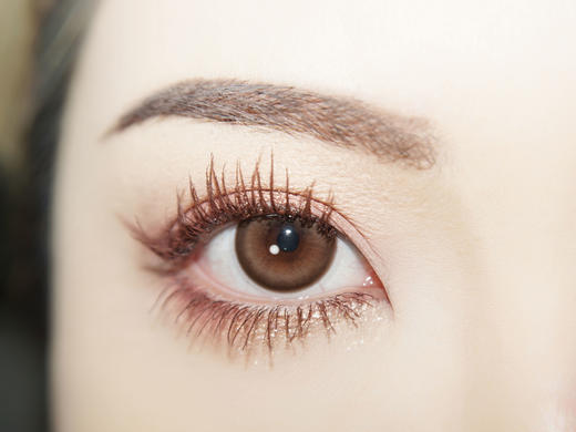 Amore Forever旗下 马德里&糖炒栗子｜白狮参考着色中等直径｜年抛 商品图9