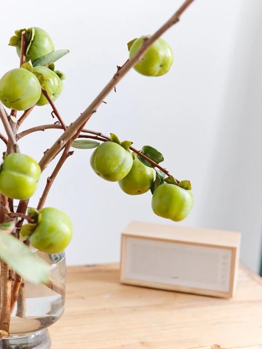 【柿柿如意.绿色柿子】 1束约10个果子/份 买2份减10元（10月3日陆续发货） 商品图5