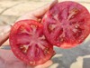 健源农场 酵素生态种植西红柿，露天番茄 品种：京粉 商品缩略图2