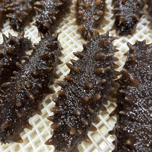 即食关东参淡干礼盒运费顺丰包邮 商品图1