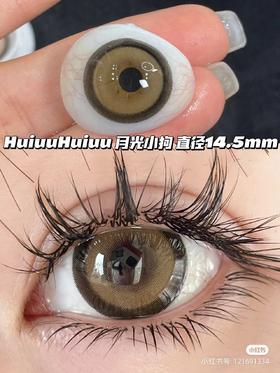 【店主实拍】月光小狗棕-14.5mm 【年抛 度数0-1000度 无525/575】