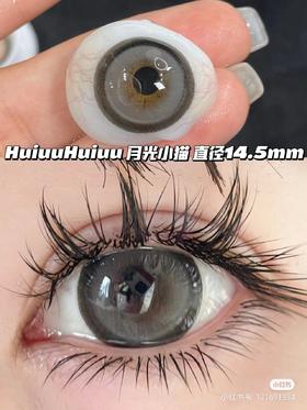 【店主实拍】月光小猫灰-14.5mm 【年抛 度数0-1000度 无525/575】