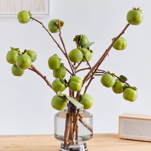 【柿柿如意.绿色柿子】 1束约10个果子/份 买2份减10元（10月3日陆续发货） 商品图0