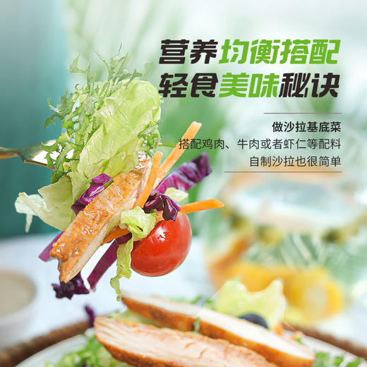 一号农场开袋即食田园风情蔬菜沙拉120g*3送芝麻酱包邮 商品图1