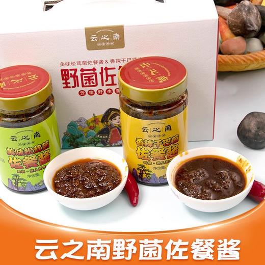 云南特产云之南野菌佐餐酱伴手礼松茸干巴菌下饭菜拌面酱味香辣礼盒 商品图0