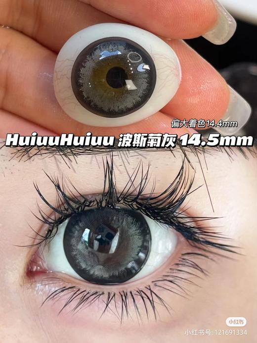 【店主实拍】波斯菊灰-14.5mm 【年抛 度数0-1000度 无525/575】 商品图0