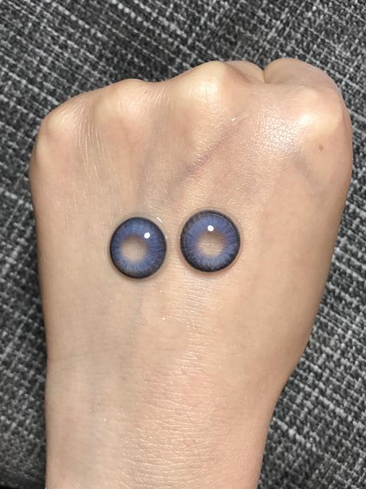 Amore Forever旗下 马德里&糖炒栗子｜白狮参考着色中等直径｜年抛 商品图1