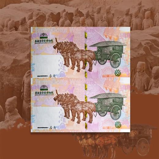 预定！2023兵马俑纪念券 商品图3