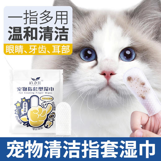 道力其一次性宠物指套湿巾38片袋装 日常清洁  便携装 商品图1