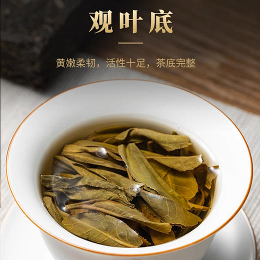 德丰昌 | 2016年广州茶博会金奖 百濮臻茗普洱生茶357克 商品图5