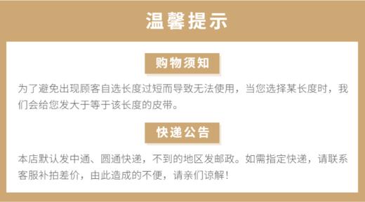 男装23夏季新品休闲尼龙皮带-01 商品图3