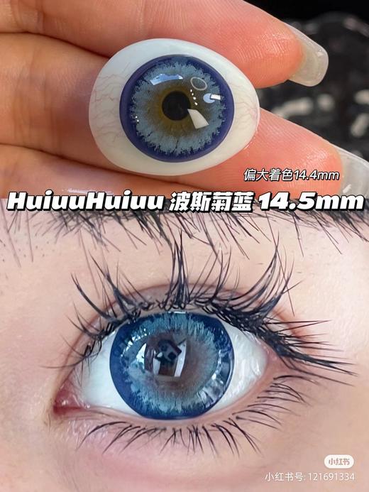 【店主实拍】波斯菊蓝-14.5mm 【年抛 度数0-1000度 无525/575】 商品图0