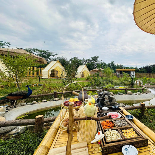 【桃桃亲子教育农场】69.9元起抢购原价678元，六万平方畅玩票！重返侏罗纪、千米迷宫乐园、小小建造师、开心滑草场、超大无动力设备等几十种项目畅玩不限时！ 商品图1