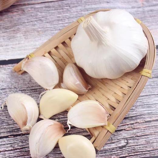大蒜250g 商品图0