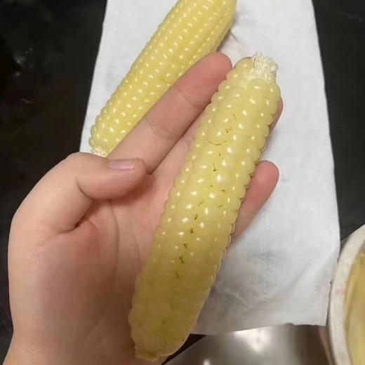 傣家拇指小糯玉米（106项农残0检出） 商品图8