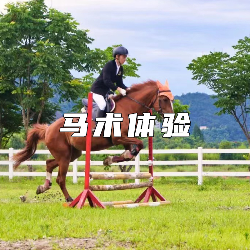 【瑞美营地】∣马术体验