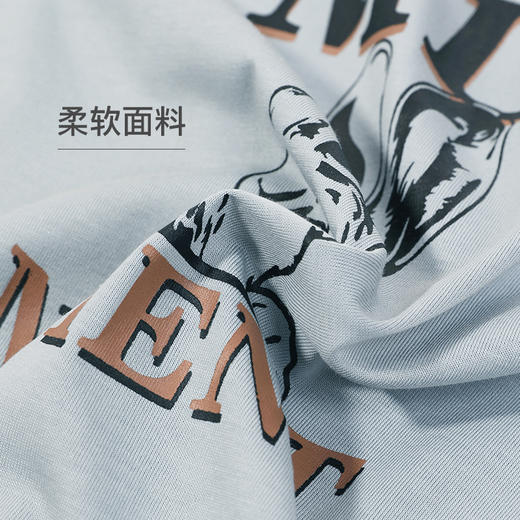 熳洁儿  女士家居服冰瓷棉休闲圆领短袖裙睡衣可外穿23203215 商品图2