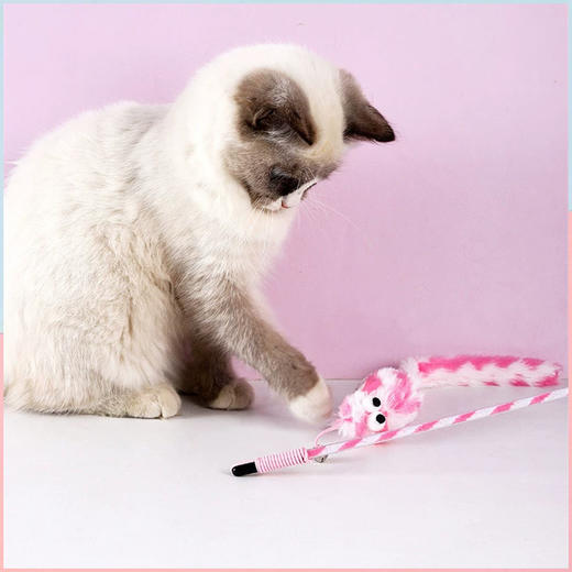 长尾巴老鼠猫咪逗猫棒 带铃铛 弹力绳材质 互动玩具 商品图3