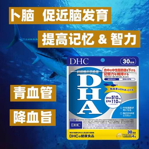 日本DHC DHA深海鱼油精基丸-120粒 商品图2