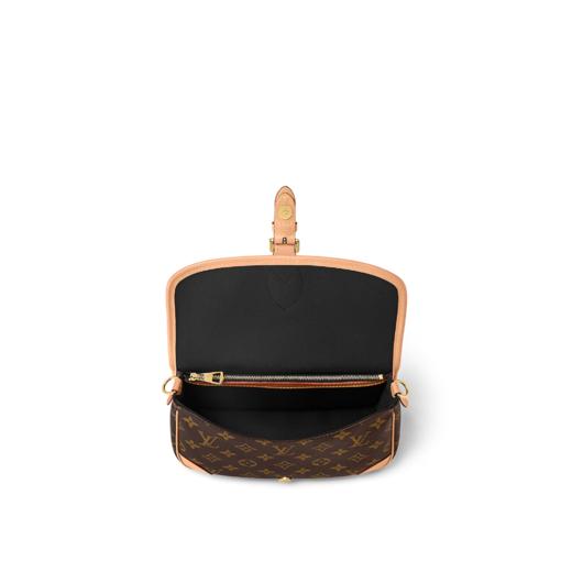 【预定现货款】LOUIS VUITTON 路易威登 女士经典  DIANE 手袋 M45985 商品图3