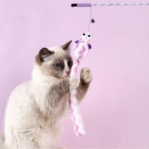长尾巴老鼠猫咪逗猫棒 带铃铛 弹力绳材质 互动玩具 商品图4