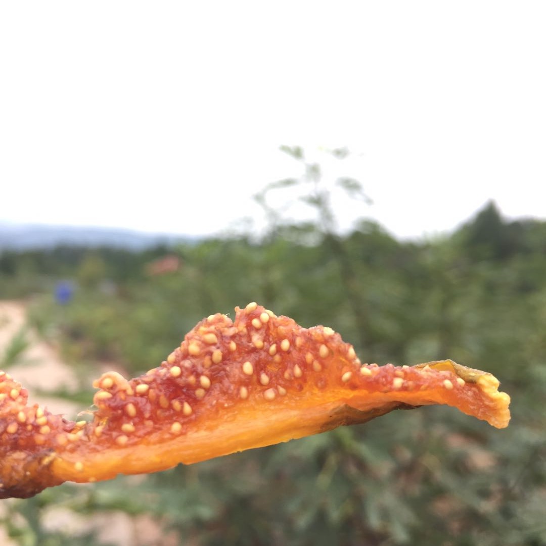 有机无花果干