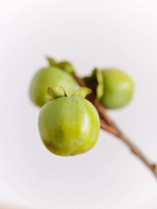 【柿柿如意.绿色柿子】 1束约10个果子/份 买2份减10元（10月3日陆续发货） 商品图7