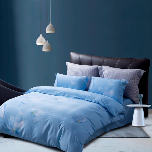 水星家纺 全涤磨毛四件套 锦瑟未央 被套：200*230cm 床单：240*245cm 枕套：48*74cm*2 商品图1