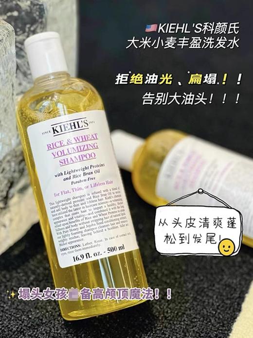 Kiehl＇s/科颜氏大米小麦丰盈洗发水植物蓬松控油洗发啫喱   500ml/瓶 商品图1