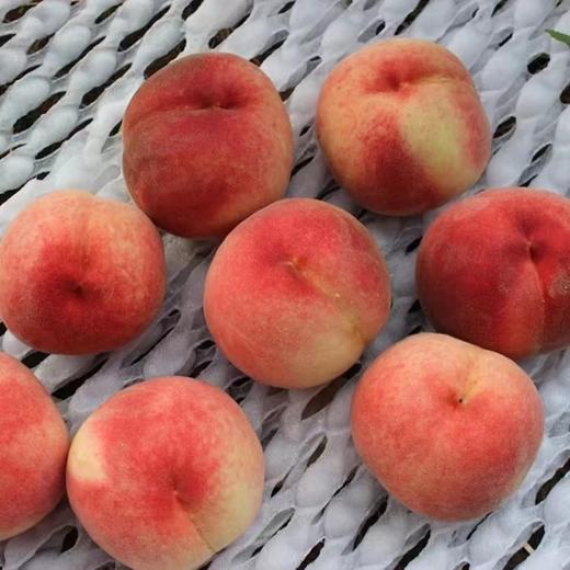 小空山有机水蜜桃（预售产品，7月5号发货） 商品图2