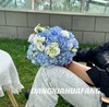 【鲸鸣于海】蓝色小绣球2 白色洋桔梗8-10朵 商品缩略图1