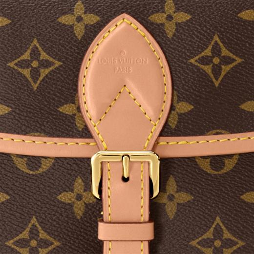 【预定现货款】LOUIS VUITTON 路易威登 女士经典  DIANE 手袋 M45985 商品图5