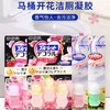 【春上新】10楼花王小林马桶开花洁厕凝胶7.5g*3小支  活动价19元/组 商品缩略图1