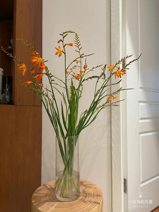 【秒杀88份】西伯利亚白百合8-10朵+莲花之境重瓣百合2-3朵+黑美人香水百合4-5朵+火焰兰5支+小花向日葵2支/份 商品图2