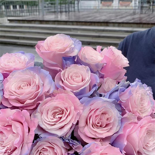 厄瓜多尔进口染色SWEET LOVE甜蜜的爱玫瑰10支 商品图3