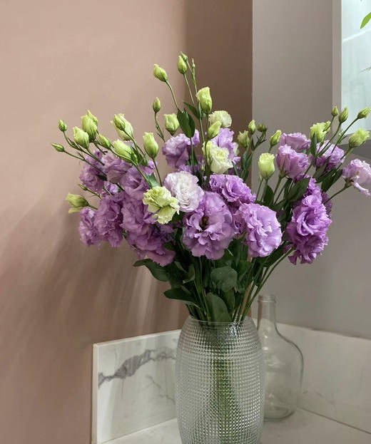 【洋桔梗】--波浪浅紫  若干枝/扎 商品图1