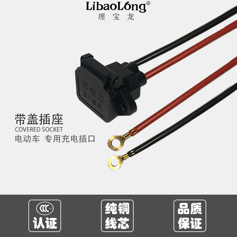 理宝龙一体插座线