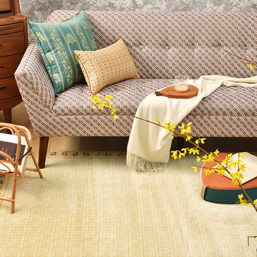 土耳其方格系列地毯新西兰羊毛地毯茶几客厅防滑地垫 商品图0