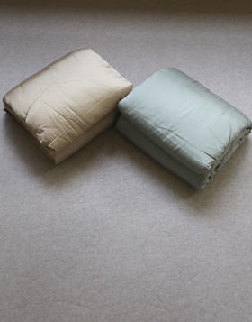 嗯哼 继续吧 哈！韩国家品 AgR 精兰天丝 舒爽莱尔塞 200*230 盖被 2色入