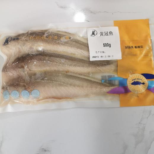 丰帆汇缅黄鱼黄冠鱼500g3条香煎、蒸【1A区/2C2下-18】 商品图0