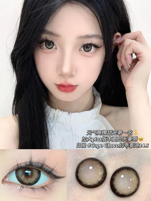 Copo Choco 奶乖泰迪【日抛】 商品图0