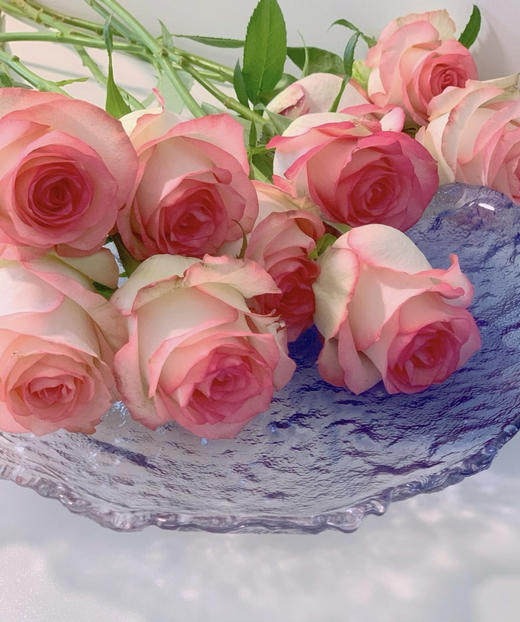 【昆明玫瑰】爱莎，A级，20支/扎 商品图2