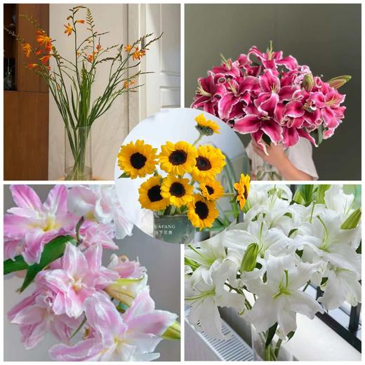 【秒杀88份】西伯利亚白百合8-10朵+莲花之境重瓣百合2-3朵+黑美人香水百合4-5朵+火焰兰5支+小花向日葵2支/份 商品图0