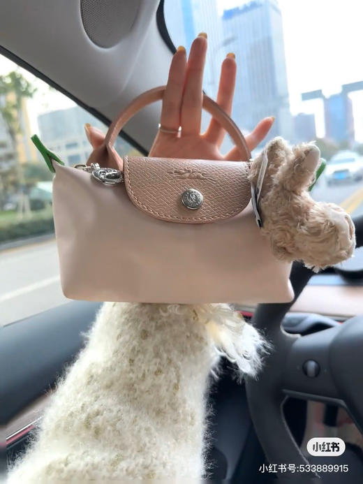 代购级别珑骧mini饺子🥟
补藕粉色细节 118包邮🉐️ 商品图1