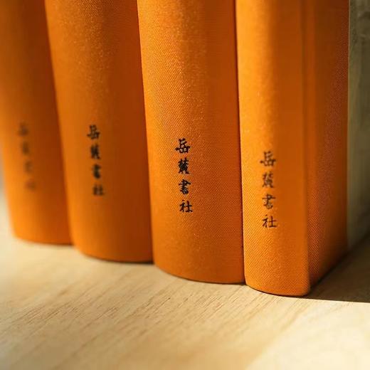 古典智慧四书：道德经 庄子 周易 传习录 左右分栏 注释精当 阅读舒适 岳麓书社 商品图4