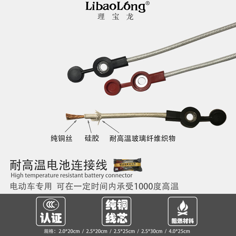 理宝龙耐高温电池（瓶）线