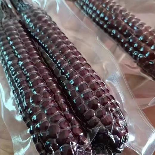 云南西双版纳紫香糯拇指小玉米   2斤/3斤/4斤 商品图5