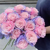 厄瓜多尔进口染色SWEET LOVE甜蜜的爱玫瑰10支 商品缩略图1